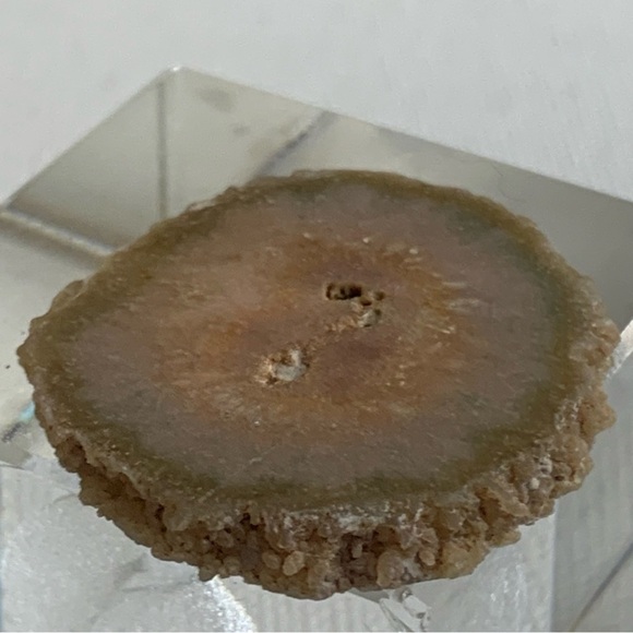 Stalactite Slice Polished Crystal Display Specimen Las Torres Mine Uruguay 1.4" - Picture 3 of 10